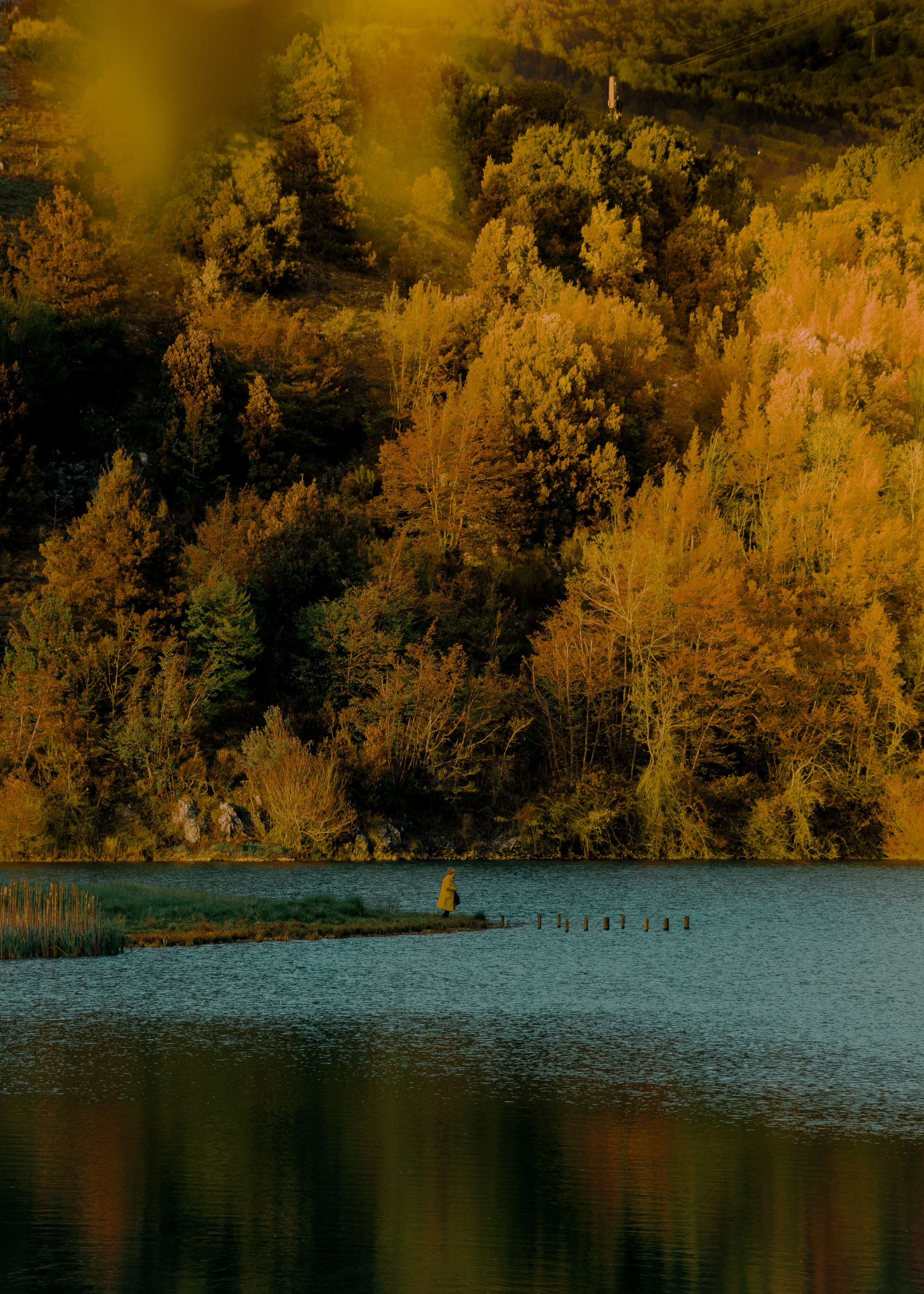 "Scatta il bosco", un Contest per premiare le foto più belle delle foreste italiane