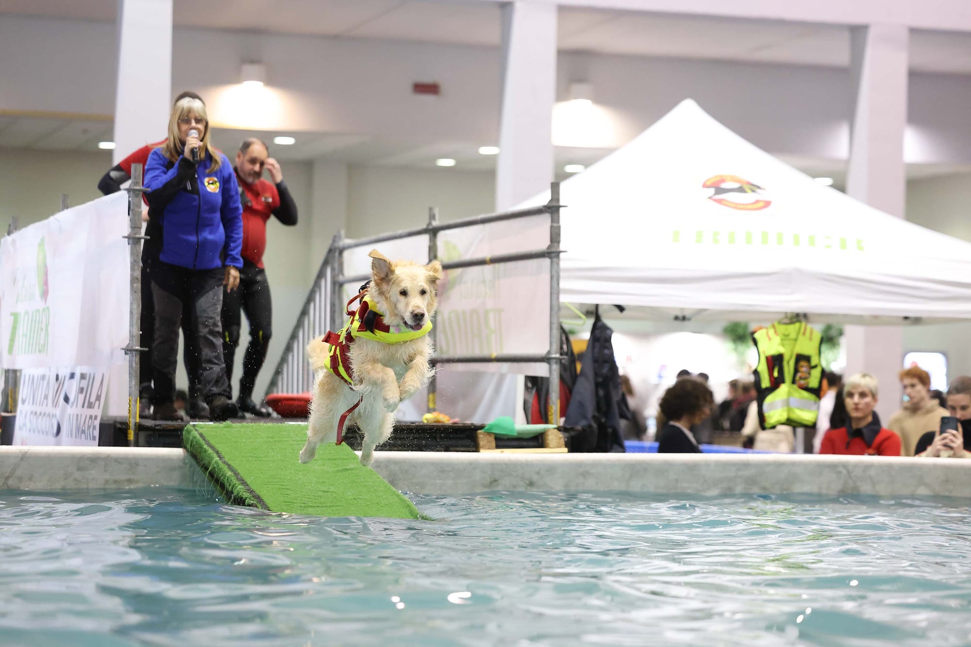 Ritorna Quattrozampeinfiera: l'evento dedicato agli animali da compagnia