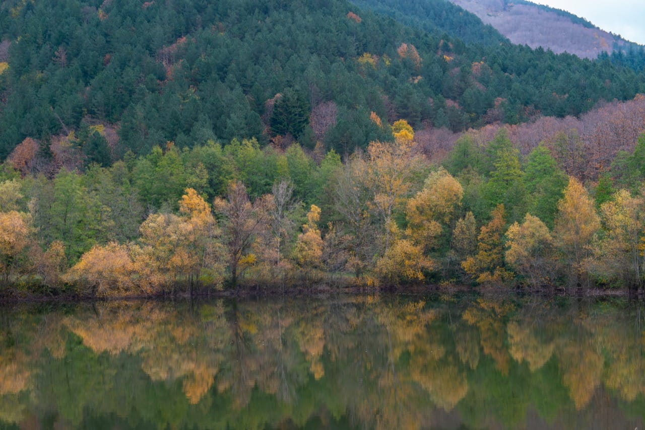 L'atlante delle foreste: l'Italia diventa più verde
