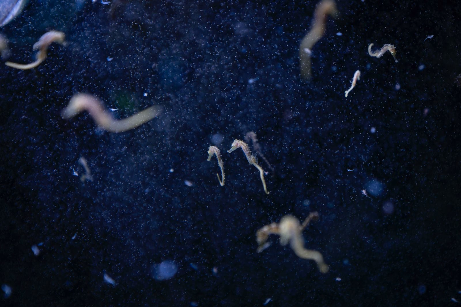 Una grande mostra racconta come la crisi climatica sta cambiando il Mediterraneo