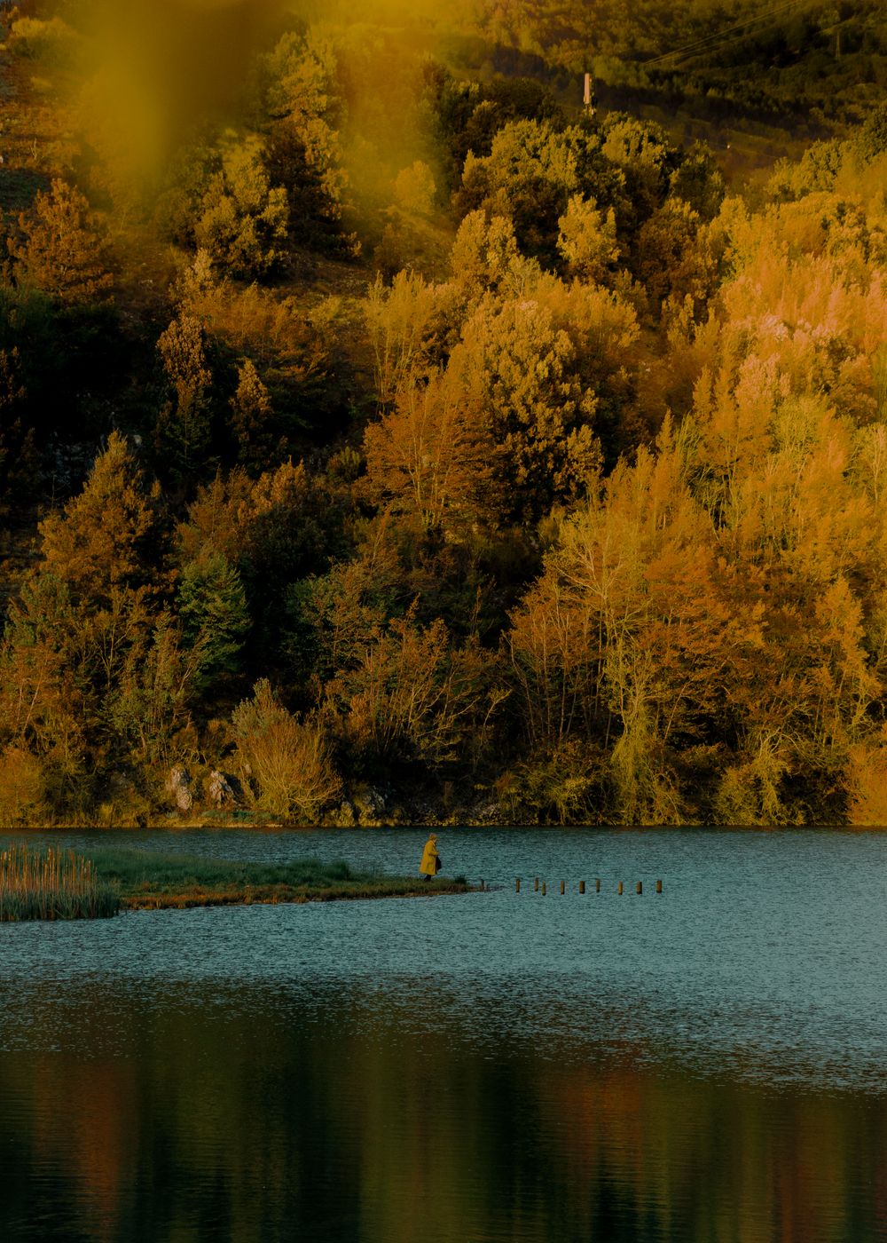 "Scatta il bosco", un Contest per premiare le foto più belle delle foreste italiane post image