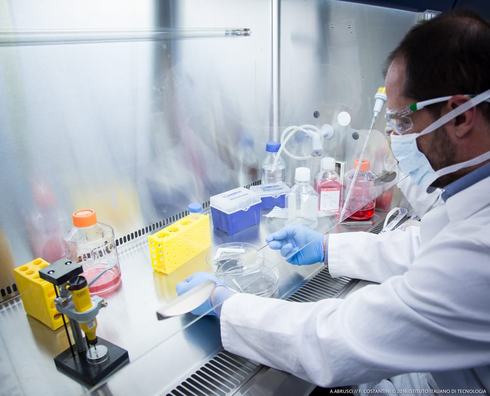 L'innovazione biomedica passa da Napoli: cos'è la tecnica "organ-on-chip"? post image