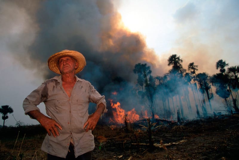 Allarme Amazzonia, così il polmone del pianeta rischia il "collasso" post image